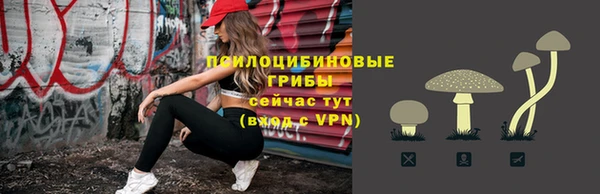 спиды Вязьма