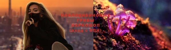 apvp Вязники
