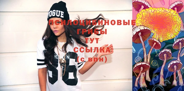 apvp Вязники