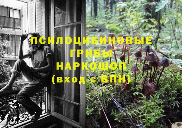 марки lsd Вяземский